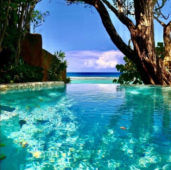 Meet your Posher, Stacy - Picture 2 of 4